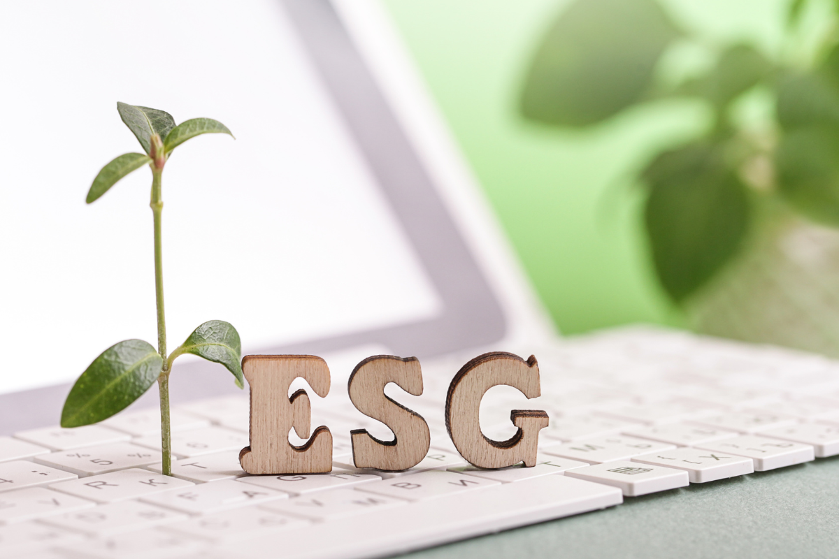 Você está visualizando atualmente ESG como Estratégia Competitiva: Como Implementar Práticas Sustentáveis para Impulsionar o Crescimento Empresarial